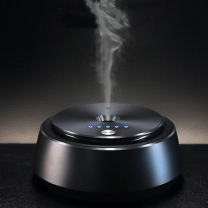 Car diffuser